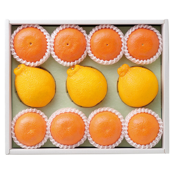 啪Oo (3S-60)y͂ԁF12{`z